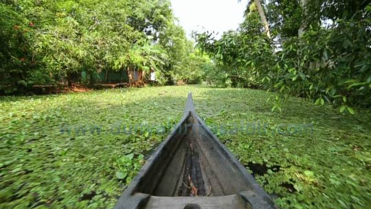 kano allappey kerala backwaters