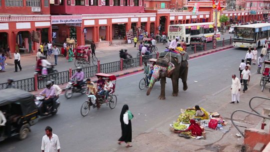 jaipur, şehir trafiğinde fil